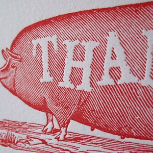 Funny Big Pig Thank You Notes, Cute Barnyard Animal, Farmers Market, Country Chic, Thanks Letterpress image 2