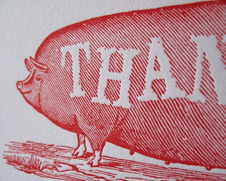 Funny Big Pig Thank You Notes, Cute Barnyard Animal, Farmers Market, Country Chic, Thanks Letterpress image 2