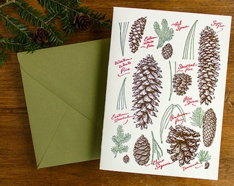 Rustic Pinecone Collection - Box Set of 8 Letterpress Holiday Cards and Envelopes - Hand-drawn lettering