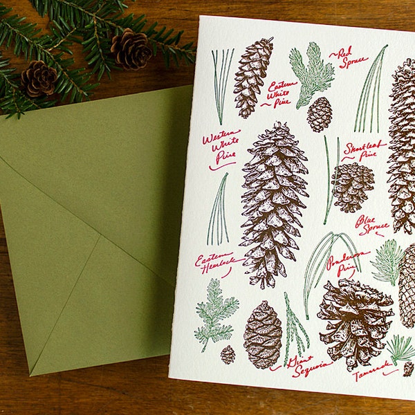 Rustic Pine Cone Glossary Christmas Card, Holiday Greeting, Beautiful Winter Greenery - Thanksgiving card, Letterpress