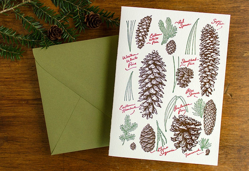 Rustic Pine Cone Glossary Christmas Card, Holiday Greeting, Beautiful Winter Greenery Thanksgiving card, Letterpress image 1