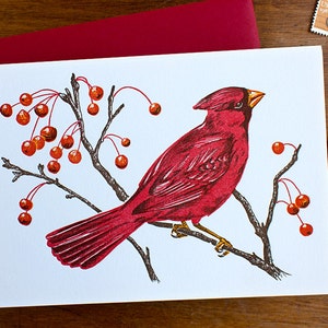 Carte Cardinal d'hiver, branches d'arbres avec des baies - Carte de Noël typographique, Carte de vœux - Oiseau rouge dans la neige