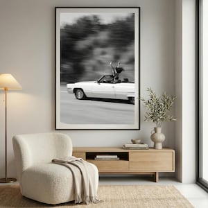 May include: Monochrome framed print featuring a white convertible car speeding along a road. A person stands in the car with arms raised. The background shows blurred trees.