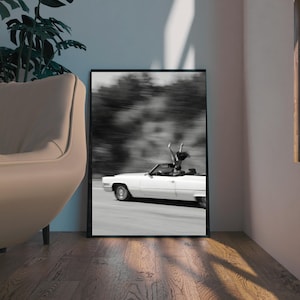 May include: Monochrome framed print depicting a white convertible car in motion, with a person standing up inside with arms raised. The background is blurred, suggesting speed. The print is displayed in a room with a chair and a plant.