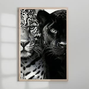 Peut inclure: Impression en noir et blanc encadr&eacute;e repr&eacute;sentant un jaguar et une panth&egrave;re noire. Le jaguar, &agrave; gauche, a un pelage tachet&eacute;. La panth&egrave;re, &agrave; droite, est enti&egrave;rement noire. Les deux f&eacute;lins regardent le spectateur.