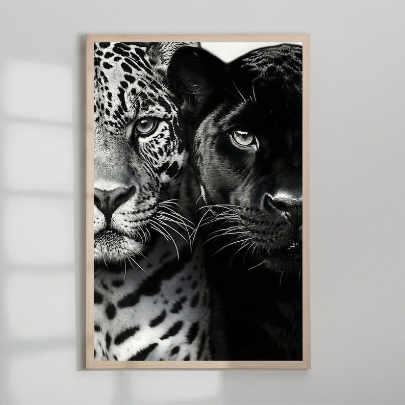 Peut inclure: Impression en noir et blanc encadr&eacute;e repr&eacute;sentant un jaguar et une panth&egrave;re noire. Le jaguar, &agrave; gauche, a un pelage tachet&eacute;. La panth&egrave;re, &agrave; droite, est enti&egrave;rement noire. Les deux f&eacute;lins regardent le spectateur.