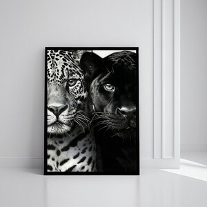 Peut inclure: Impression artistique encadr&eacute;e repr&eacute;sentant un jaguar et une panth&egrave;re noire c&ocirc;te &agrave; c&ocirc;te. Le jaguar est en noir et blanc avec des taches distinctives. La panth&egrave;re est noire. L'&oelig;uvre est affich&eacute;e contre un mur blanc.