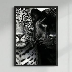 May include: Black and white framed print featuring a split image of a jaguar and a black panther. The jaguar's face is on the left, with its distinctive spotted pattern. The panther's face is on the right, with its sleek black fur. The print is a striking contrast of light and dark.
