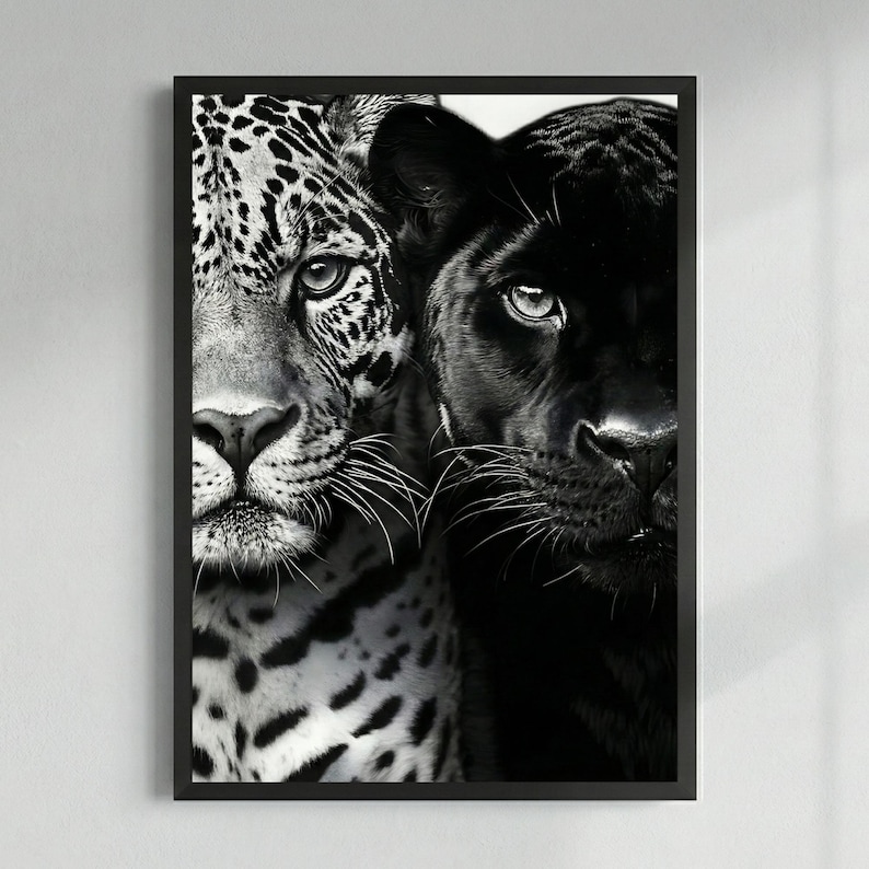 Peut inclure: Impression en noir et blanc encadr&eacute;e repr&eacute;sentant un jaguar et une panth&egrave;re noire c&ocirc;te &agrave; c&ocirc;te. Le jaguar, &agrave; gauche, affiche son pelage tachet&eacute;. La panth&egrave;re, &agrave; droite, est une &eacute;tude en noir. L'impression est un contraste saisissant, id&eacute;al pour un int&eacute;rieur moderne.