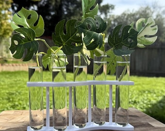 Minimalist S-Curve Plant Propagation Station: 5 Glass Vials