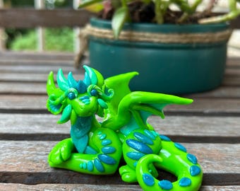 Drago verde