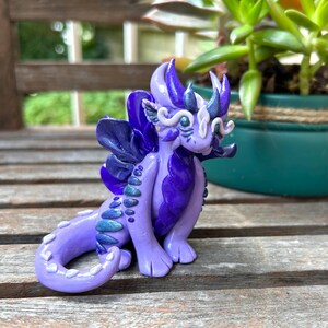 Purple and Blue Dragon