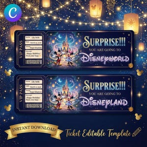Puede incluir: Dos pases VIP azul marino con Mickey y Minnie Mouse frente a un castillo, con el texto "SURPRISE!!! YOU ARE GOING TO Disneyworld" y "Disneyland". Los boletos son para Lily Belle, 15 de marzo de 2016, Magic Kingdom.