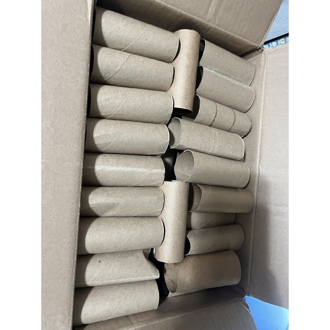 Empty Toilet Paper Rolls 100 Qty Arts and Crafts School Projects DIY ...