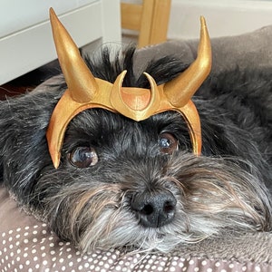 Loki Cosplay Template for Pets DIY Printable .PDF for EVA Foam with Tutorial image 1