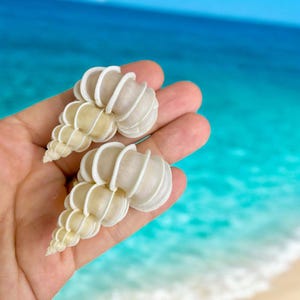 May include: Two white and cream-colored spiral seashells are held in a hand. The shells have a ridged texture and a spiral shape, with a creamy interior. The background is a blurred view of the ocean and sky.