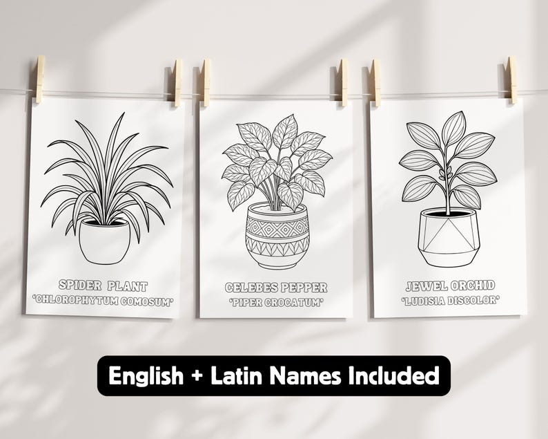 100 Labeled Plants Coloring Pages, Bold and Easy Designs for Learning ...