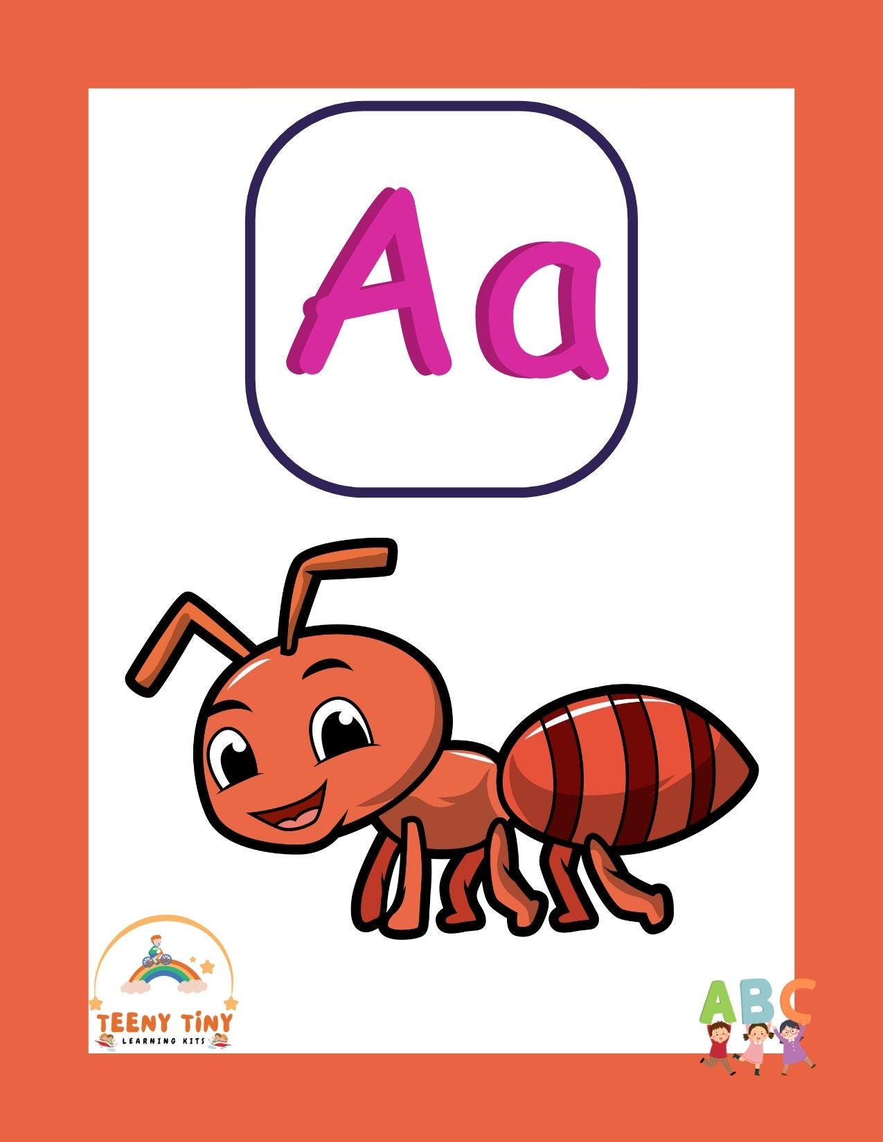 jumbo flashcards, Alphabet flashcards