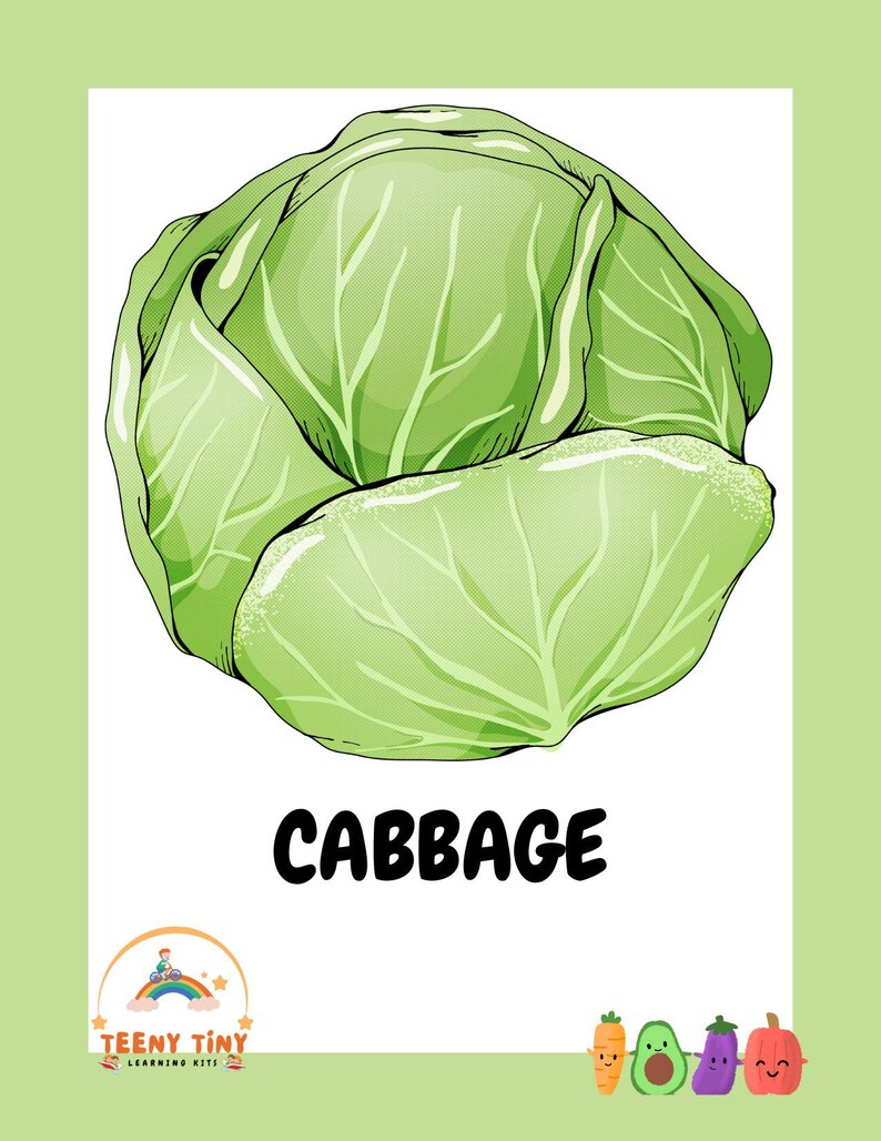 Vegetable Flashcards - Etsy