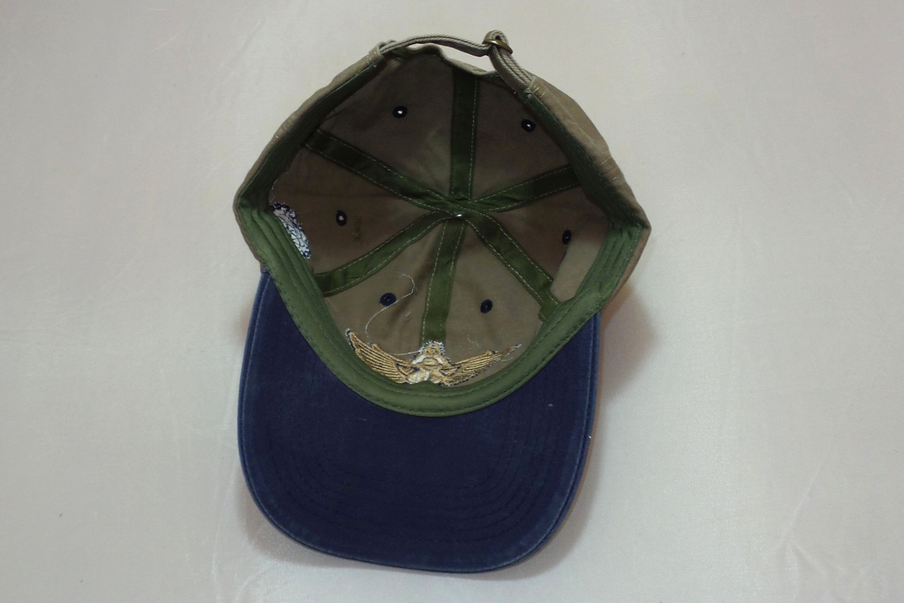 Buckleback BentBrim Hat Scarab (Oneofakind)