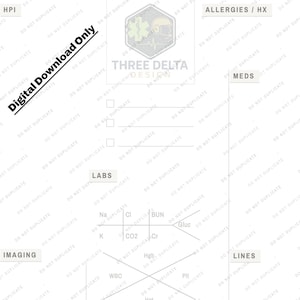 Puede incluir: Una plantilla de informe médico blanca con secciones etiquetadas como HPI, ALLERGIES / HX, MEDS, LABS, IMAGING, LINES, ABG / VENT y TIMES. El documento incluye una cuadrícula central para valores de laboratorio y un logotipo con el texto THREE DELTA DESIGN.