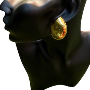 Gold stainless steel earring,