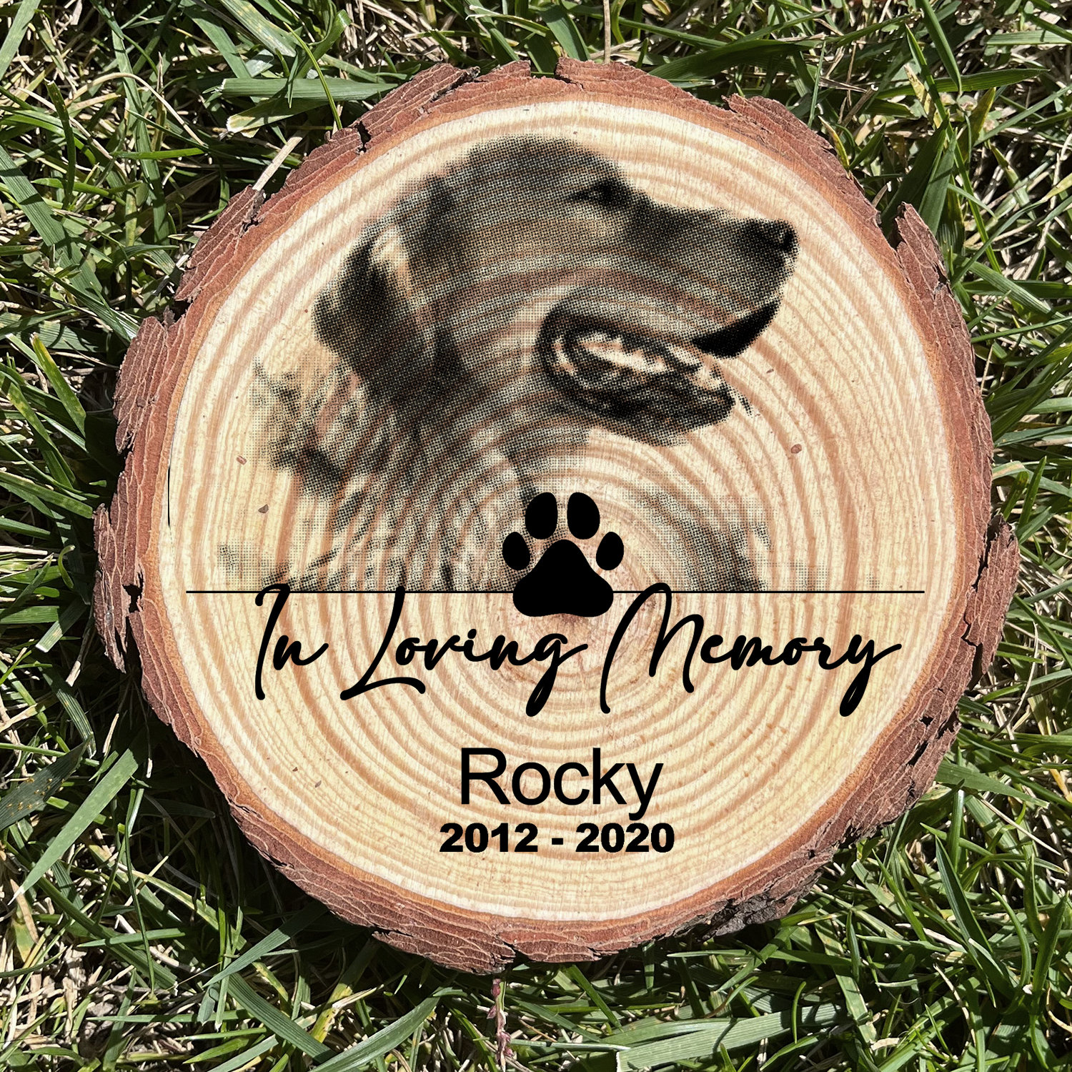 Personalized Pet Memorial Wood Plaque Personalized Pet Memorial Memorial Gift Dog Memorial Cat