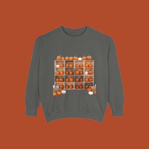 May include: A dark grey crewneck sweatshirt featuring a central graphic print of a wooden shelving unit filled with numerous orange pumpkins of varying sizes, along with several white pumpkins placed at the base of the wooden structure.