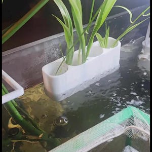 fish tank plant basket