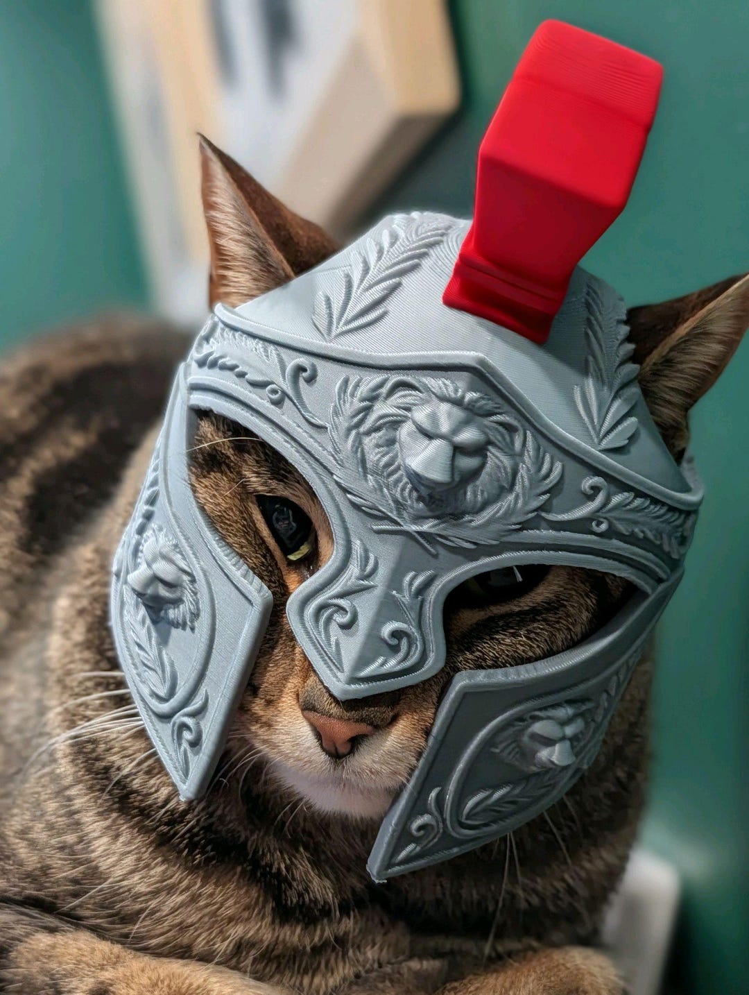 casco-de-gladiador-espartano-romano-para-gatos-etsy-espa-a