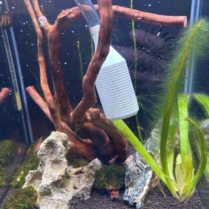 Syphon guard for fish aquarium 12-16mm and 16-22mm