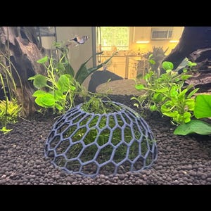 May include: A blue, honeycomb-patterned aquarium decoration filled with green moss. The decoration sits on dark gravel, surrounded by aquatic plants and a small fish. The background shows a kitchen.