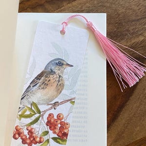 Aquarelbladwijzers - Bloemen, fruit, vogels, dieren...