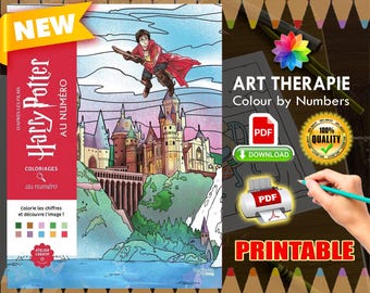 Harry Potter | Coloriage | Disney Coloring Book | PDF Coloring | Color by Number | Adult Coloring Books | Colored Book - 90 pages