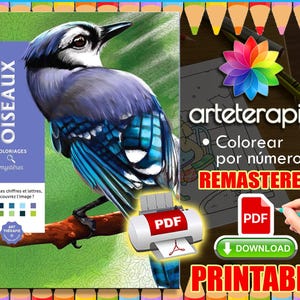 Oiseaux | Coloriage | Disney Coloring Book | PDF Coloring | Color by Number | Adult Coloring Books | Book Colored