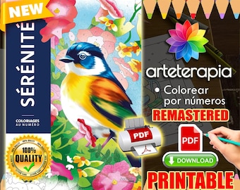 Serenite | Kleurboek | Disney Kleurboek | PDF Kleurboek | Kleuren op nummer | Kleurboeken voor volwassenen | Kleurboek