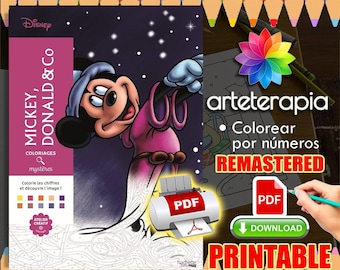 Mickey Donald & Co | Coloriage | Disney Coloring Book | PDF Coloring | Color by Number | Adult Coloring Books | Book Colored