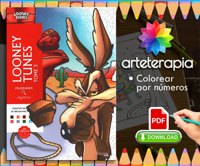 Looney Tunes 3 Passion Coloriage Mystere Coloring Book Color by Number