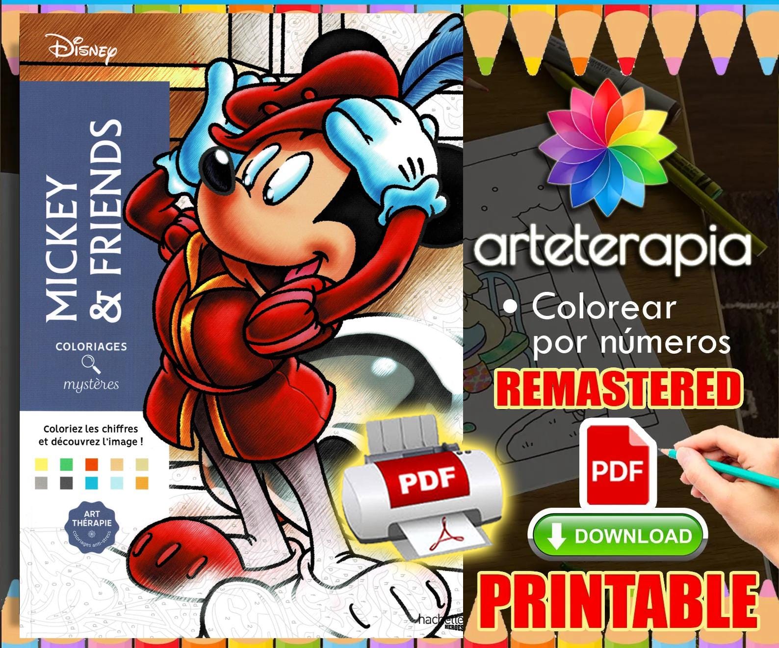 Mickey Mouse Paint by Numbers - Etsy