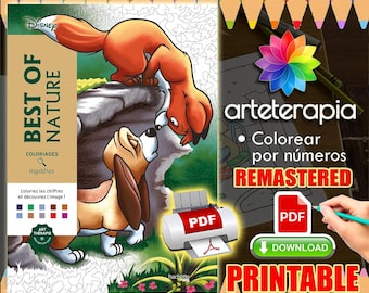 Best of Nature | Coloriage | Disney Coloring Book | PDF Coloring | Color by Number | Adult Coloring Books | Book Colored