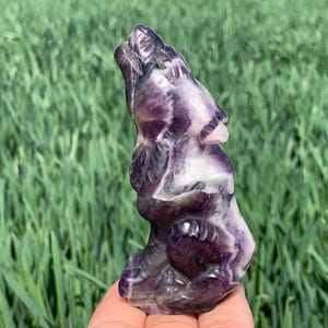 3.5&#39;&#39;+ Natural Dream amethyst quartz,quartz crystal,Crystal Wolf,Wolf Skull,Hand Carved Crystal Gifts 1pc