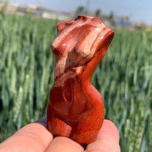 Peut inclure: Une sculpture de torse en pierre rouge et beige sculptée. La sculpture est une représentation stylisée d'une forme féminine, avec des courbes lisses et des détails. La pierre a une finition polie et les couleurs sont naturelles.