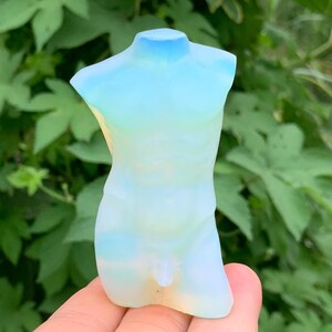 Peut inclure: Une sculpture translucide et opalescente d'un torse masculin. La sculpture présente un dégradé de couleurs, passant du bleu clair en haut à un blanc crème à la base. La sculpture est tenue dans une main sur fond de feuillage vert.
