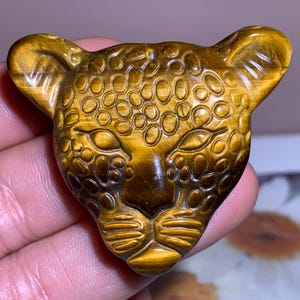 2&#39;&#39;+ Natural Tiger&#39;s eye stone quartz,quartz crystal,Crystal Leopard,Leopard Skull,Hand Carved Crystal Gifts 1pc