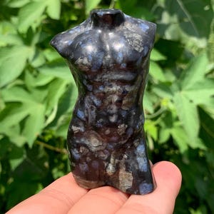 Peut inclure: Une sculpture sombre et brillante d'un torse humain. La pierre a un aspect moucheté avec des nuances de noir, de bleu et de gris. La sculpture est tenue dans une main sur fond de feuillage vert.