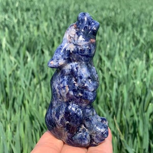 3.5&#39;&#39;+ Natural Sodalite quartz,quartz crystal,Crystal Wolf,Wolf Skull,Hand Carved Crystal Gifts 1pc