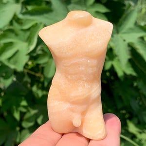 Peut inclure: Une sculpture de torse en pierre sculptée de couleur pêche. La sculpture représente une forme masculine, avec une musculature définie et des détails anatomiques. La pierre a un aspect lisse et poli, et l'arrière-plan est un feuillage vert flou.