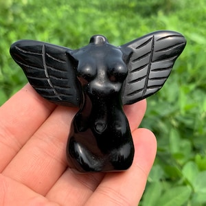 Peut inclure: Une figurine en obsidienne noire représentant une figure ailée. La sculpture présente un torse stylisé avec des ailes détaillées. Les ailes ont des détails de plumes sculptées. La figurine est tenue dans une main sur un fond vert flou.