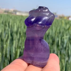 Peut inclure: Une sculpture en fluorite violette sculptée en forme de torse humain. La sculpture est lisse et polie, avec une apparence translucide.