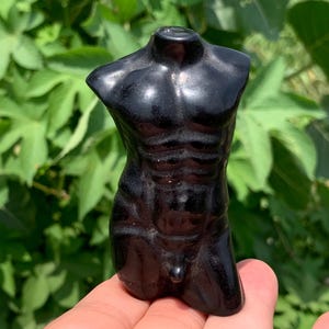 Peut inclure: Une sculpture noire d'un torse masculin avec des muscles abdominaux définis. La sculpture est brillante et semble être faite d'un matériau solide. Le fond est un feuillage vert flou.